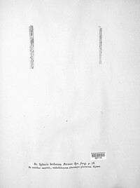 Stemphylium vesicarium image
